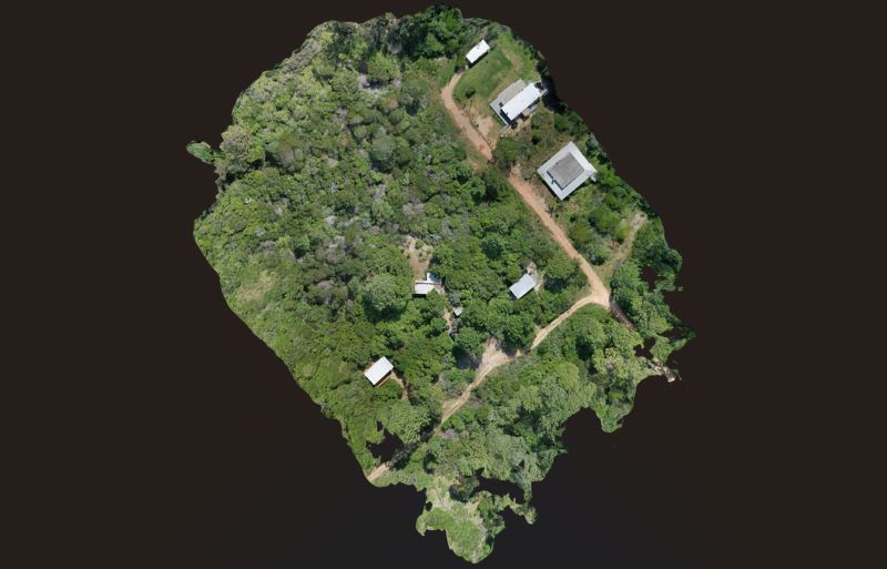 Ortofoto de un emplazamiento con vegetación, caminos y edificios